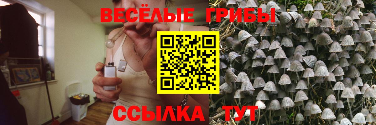 Можга  Галлюциногенные грибы MAGIC MUSHROOMS  Вход с VPN 