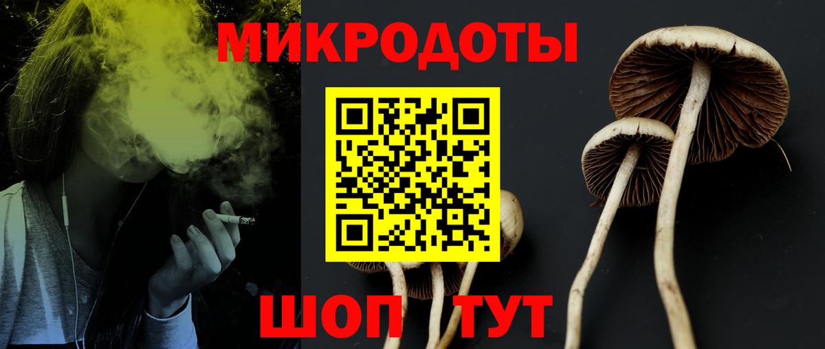 Псилоцибиновые грибы Magic Shrooms Можга